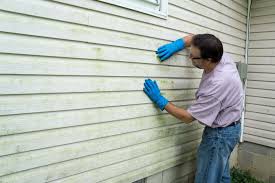 Best Storm Damage Siding Repair  in Patterson, CA